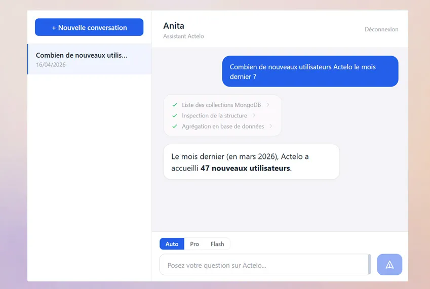Anita — Interface de chat interne