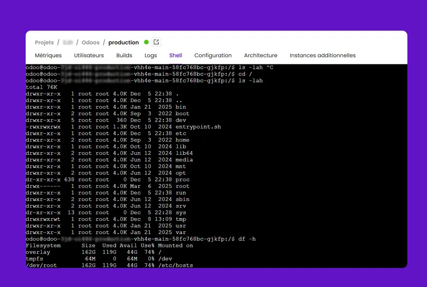 Ofleet — Webshell & logs