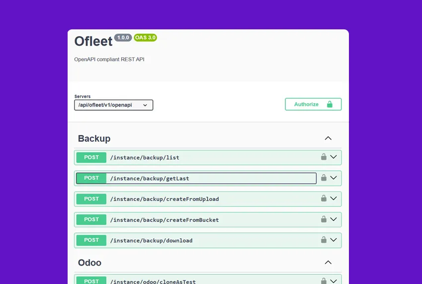 Ofleet — API & Swagger